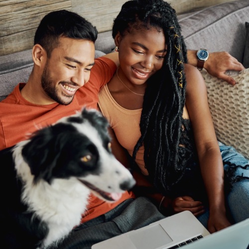 A couple sitting on a couch with their dog