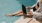 a person using a laptop